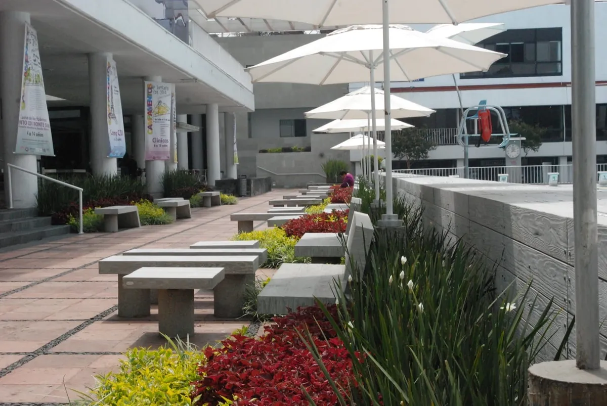Mobiliario e instalación en concreto GFRC — proyecto CDI