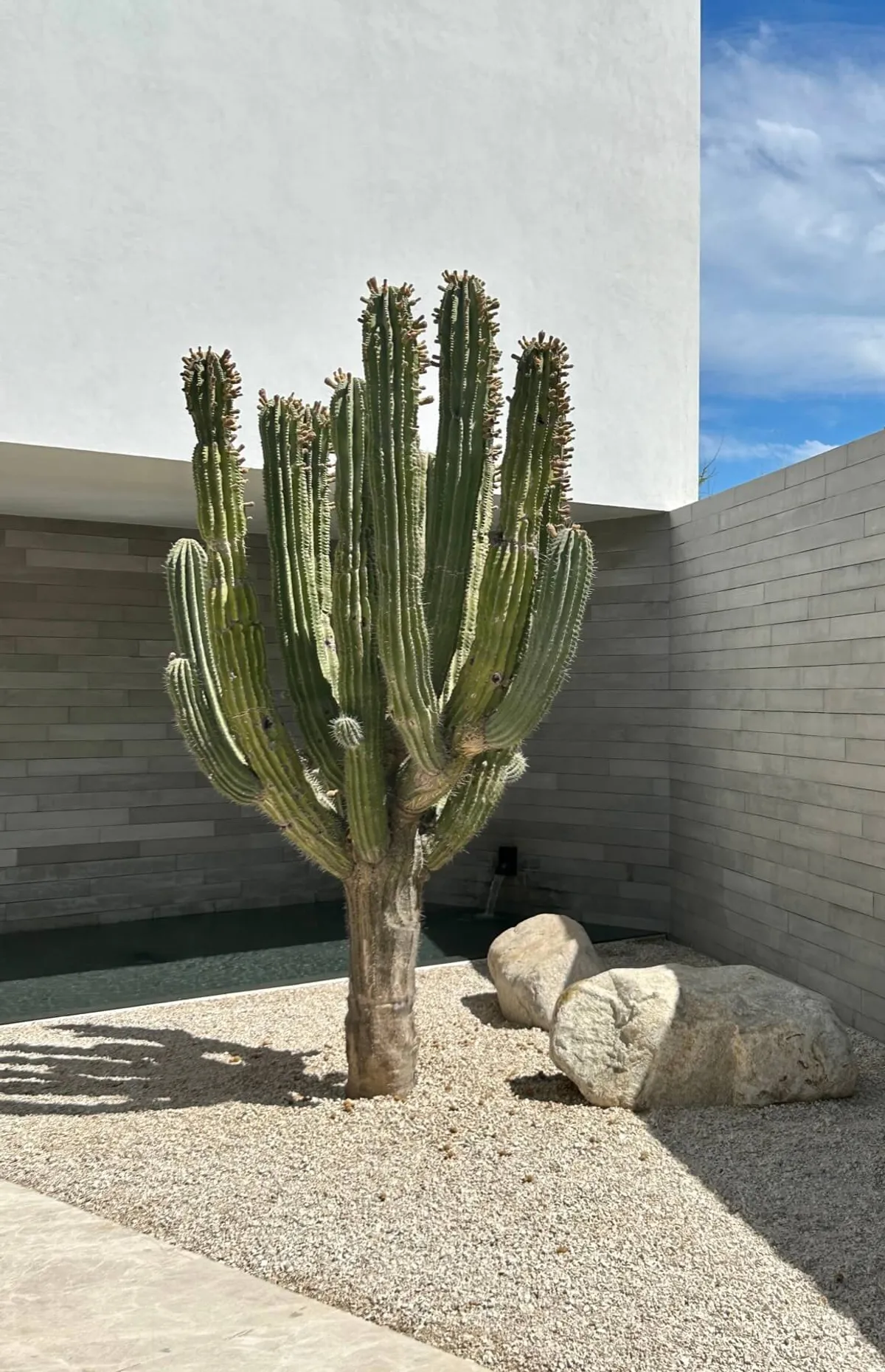 Ambiente con piezas de concreto fabricadas por Mās Concreto — Duela de Concreto Los Cabos