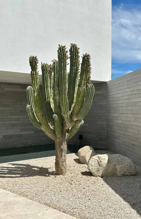 Ambiente con piezas de concreto fabricadas por Mās Concreto — Duela de Concreto Los Cabos