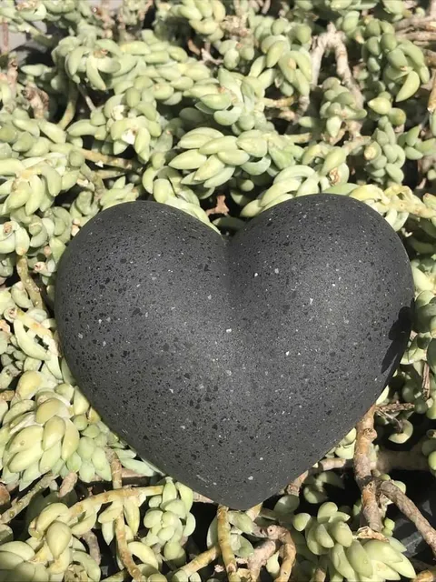 Vista del producto Corazón fabricado en Ciudad de México